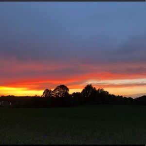 Meet your Posher, Nica